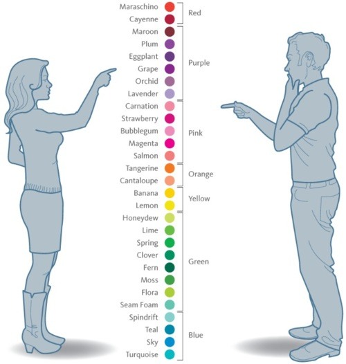 how men and women see colors