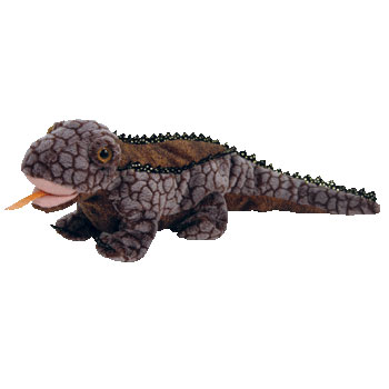 drago di komodo