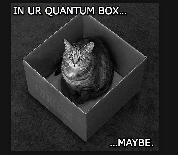 quantum cat
