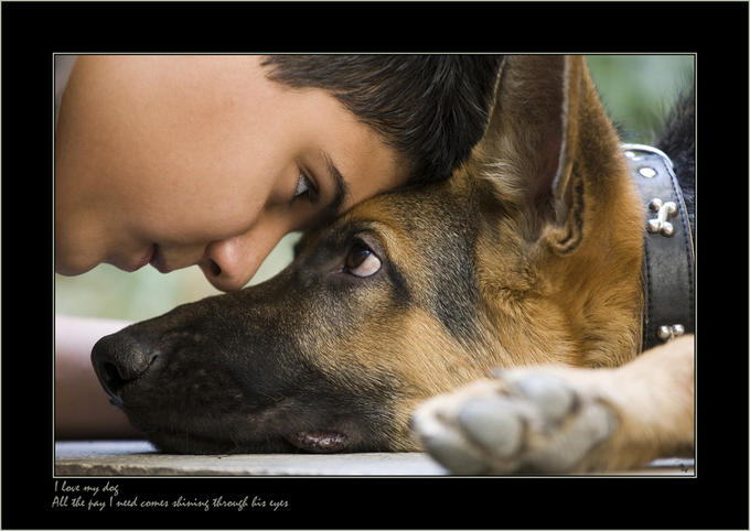 dog
