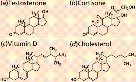 steroidi