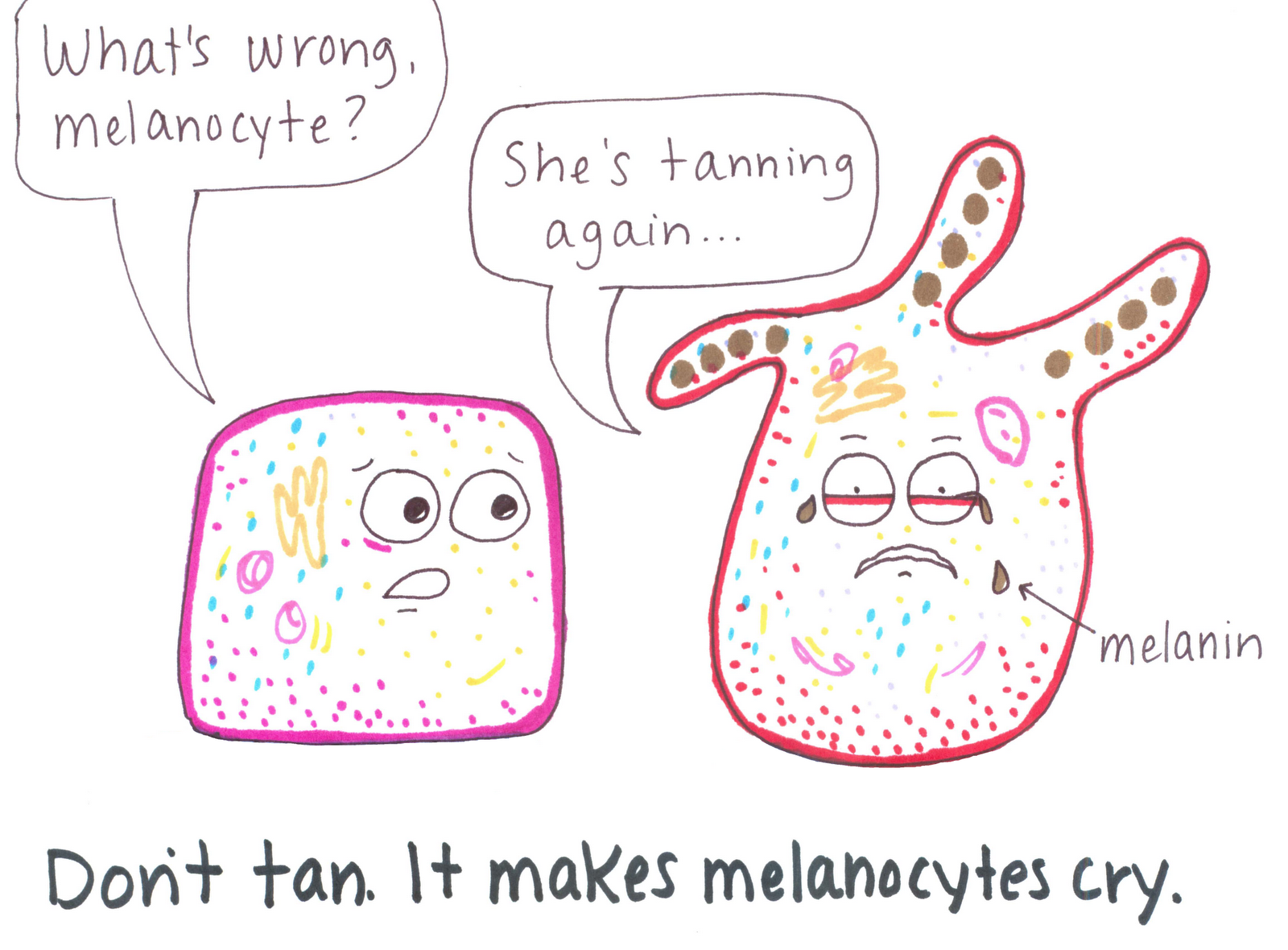 melanocyte